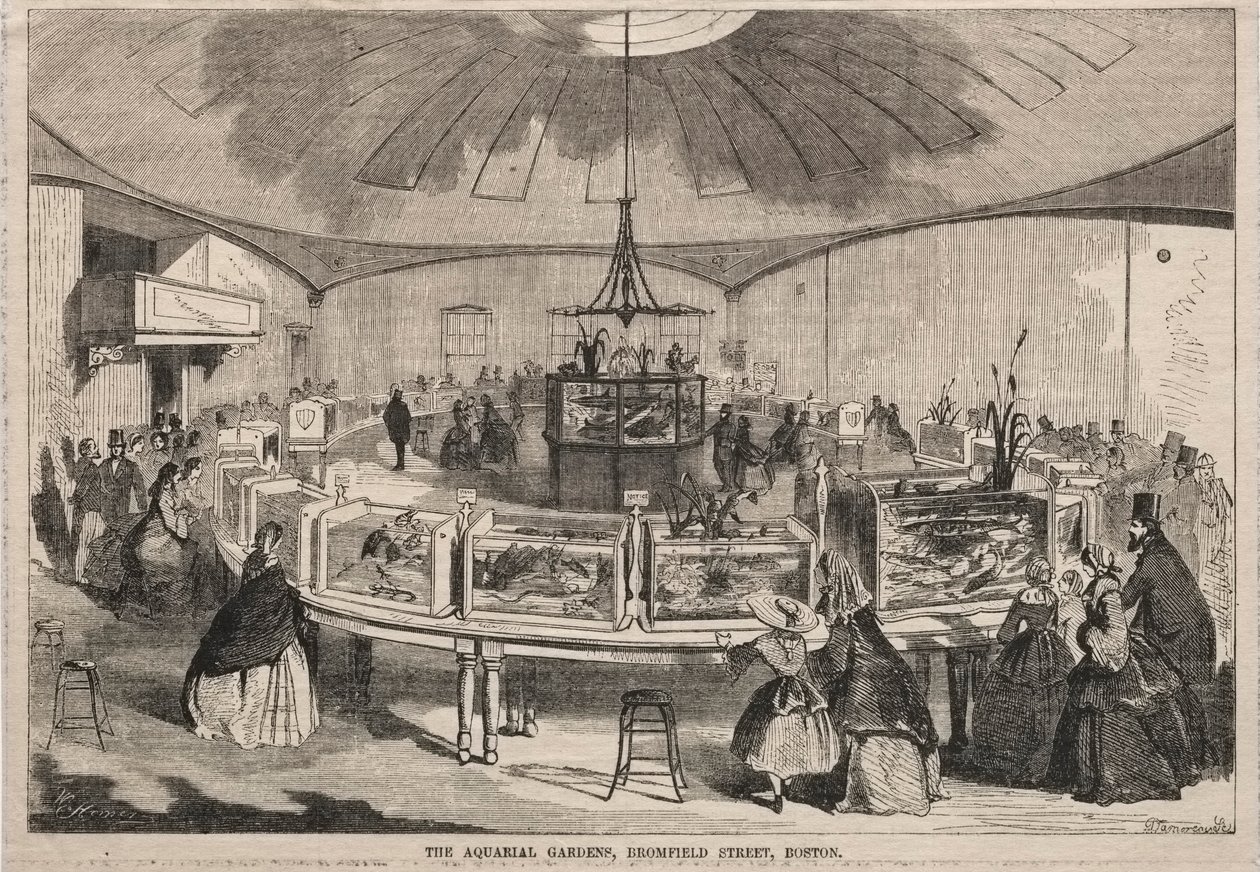 Aquarial Gardens, Bromfield Street, Boston, 1859। द्वारा विंसलो होमर