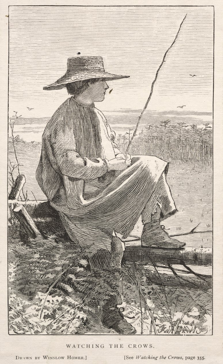 कौवे को देखना, 1868। द्वारा विंसलो होमर