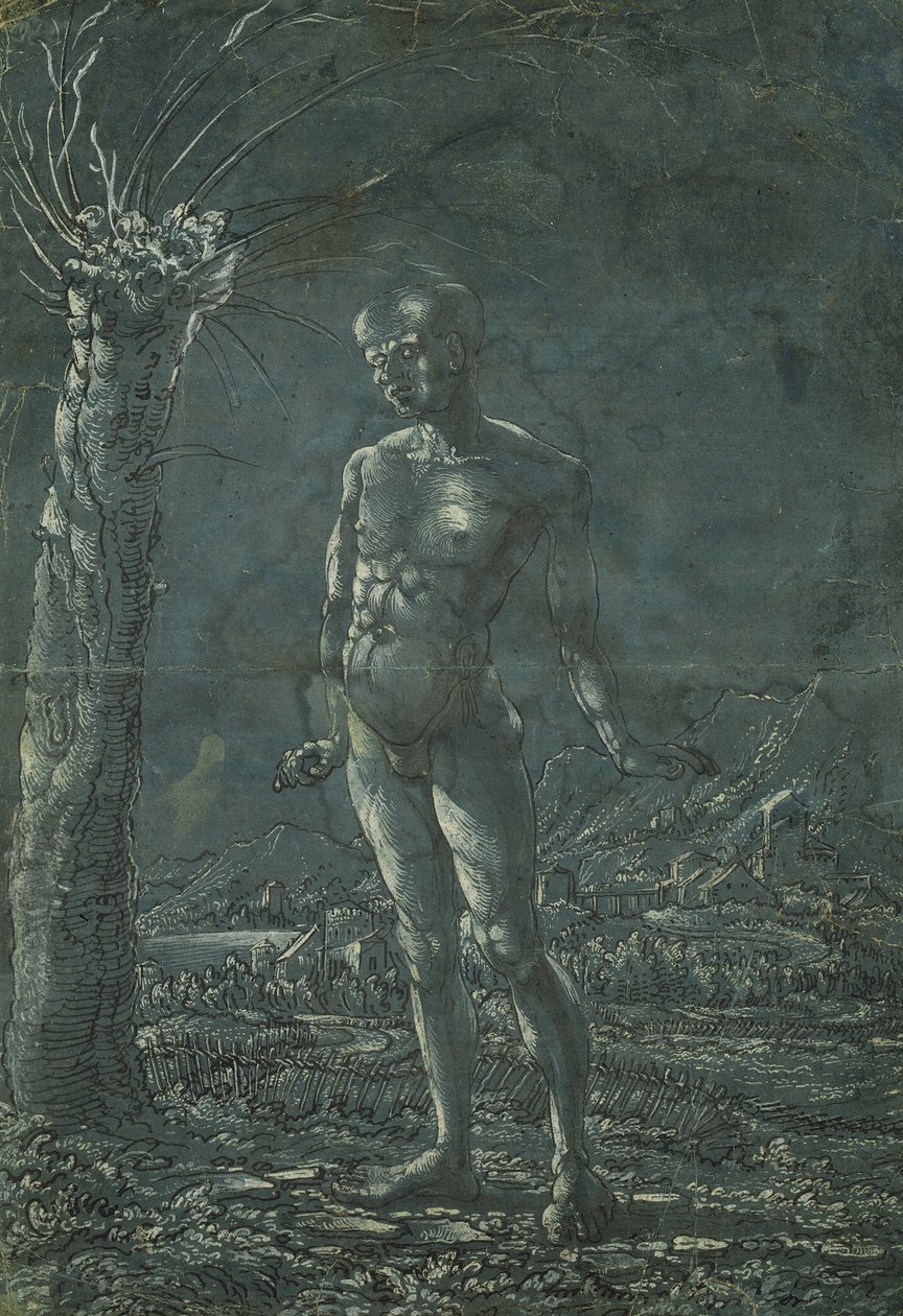लैंडस्केप में नग्न पुरुष, c.1512 (कागज पर सफेद हाइलाइटिंग के साथ कलम और काली स्याही) द्वारा वुल्फ हबेर