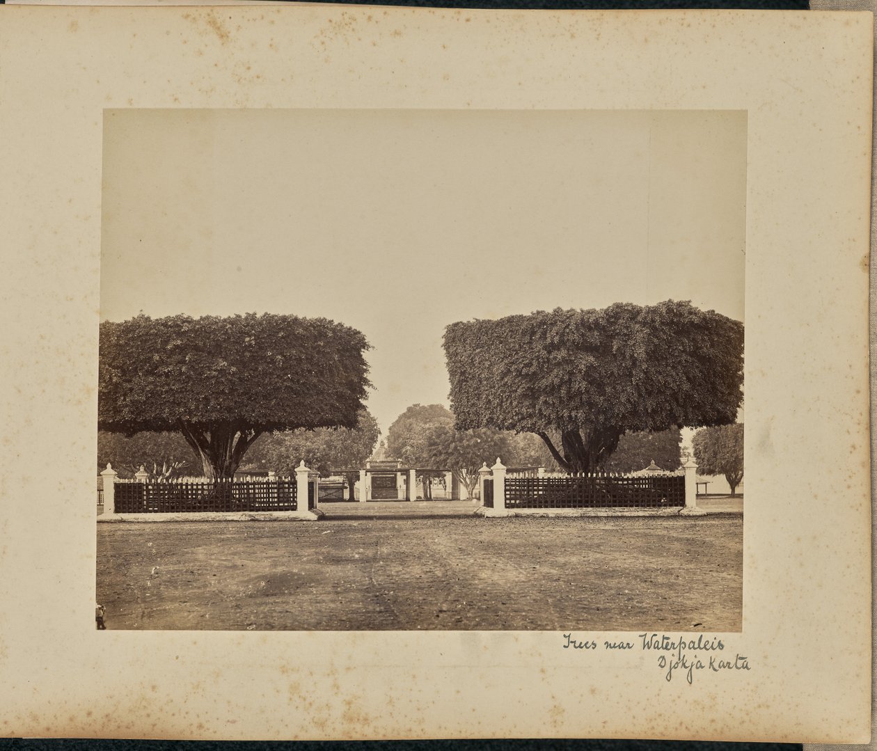  द्वारा वुडबरी और पेज