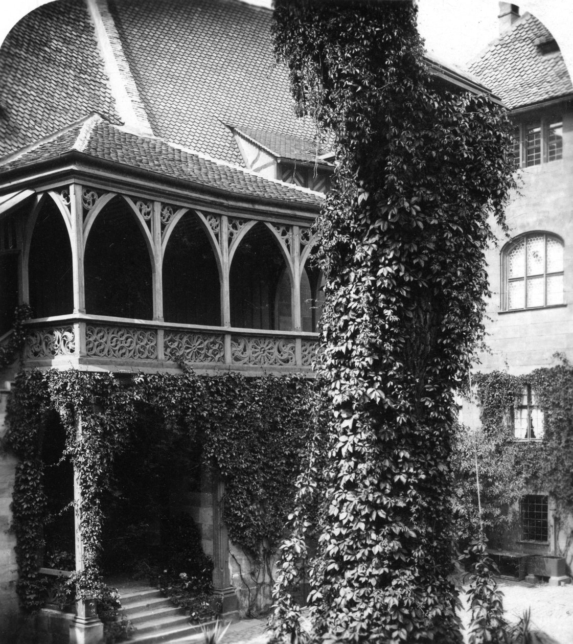 एक प्रांगण में नीम का पेड़, नूर्नबर्ग, बावरिया, जर्मनी, c1900s। द्वारा वुर्थल एंड संस