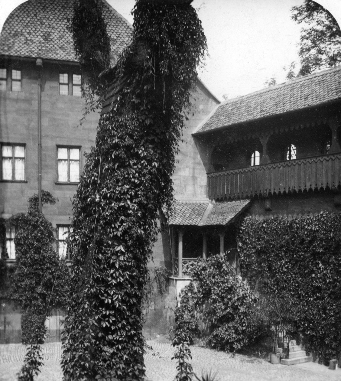 एक प्रांगण में नीम का पेड़, नूर्नबर्ग, बावरिया, जर्मनी, c1900s। द्वारा वुर्थल एंड संस