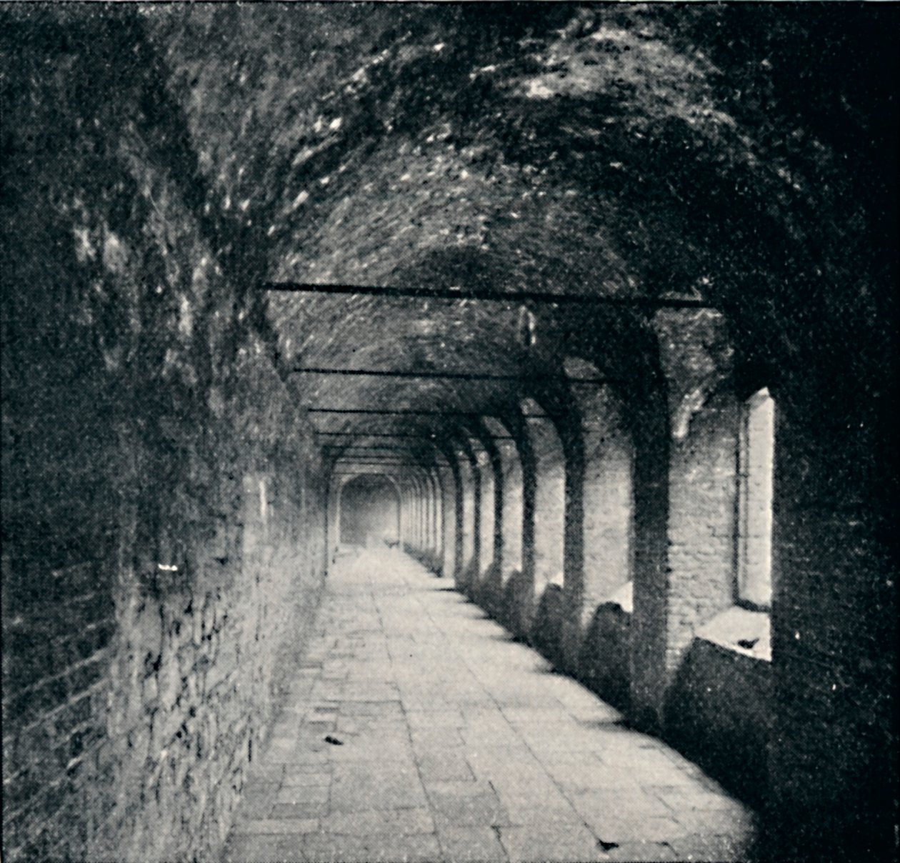 द क्लोइस्ट्स, चार्टरहाउस, लंदन, 1903 द्वारा यॉर्क और बेटा