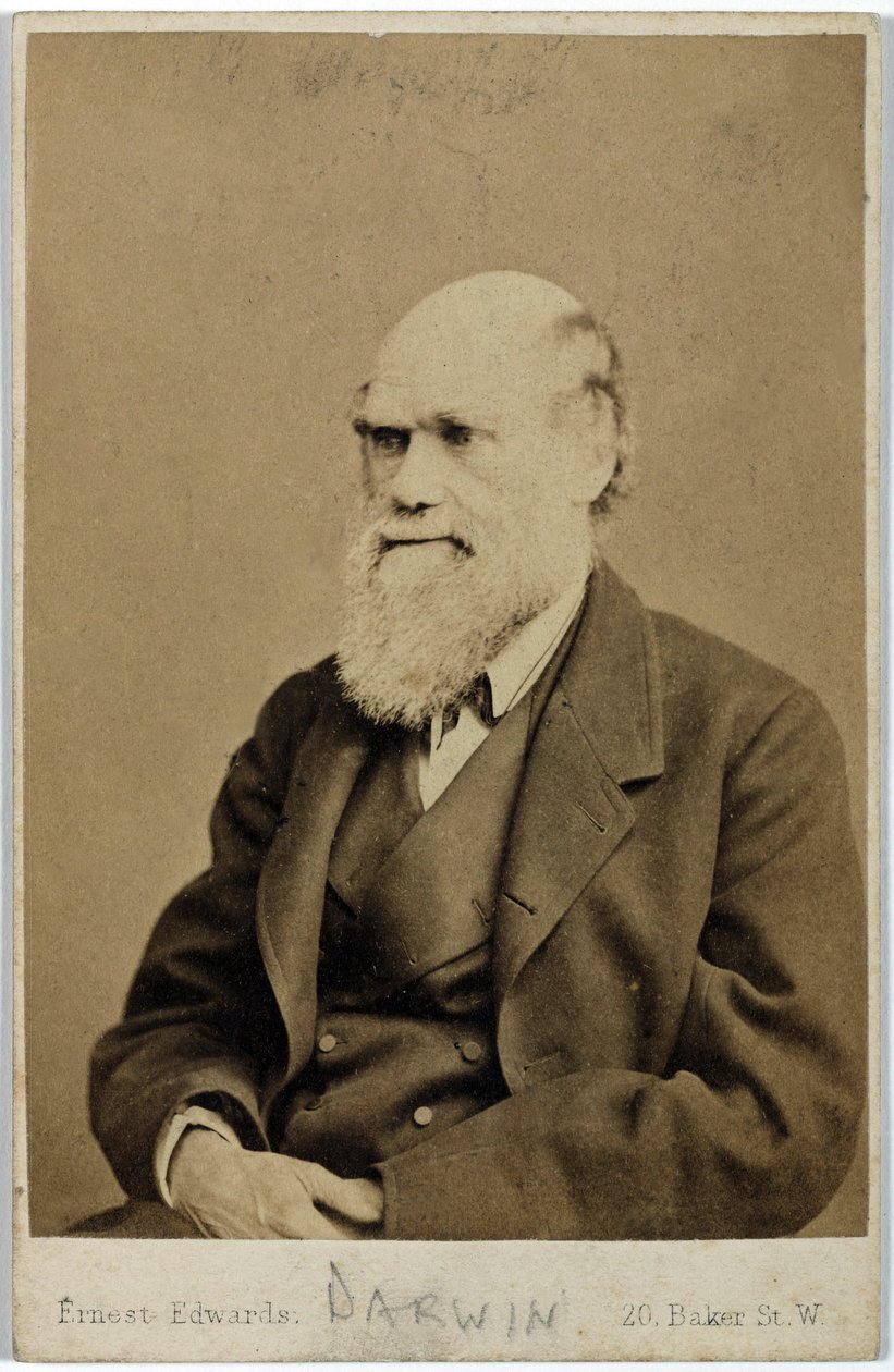 चार्ल्स डार्विन, अंग्रेजी प्रकृतिवादी, c 1870s द्वारा फर्डिनेंड जॉर्ज वाल्डमुलर