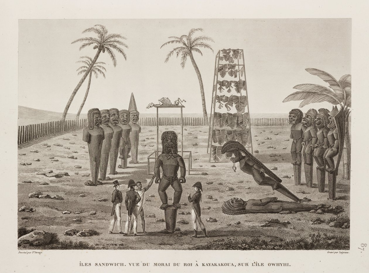 कायाकौआ, सैंडविच द्वीप समूह में राजा का मोरई द्वारा रिचर्ड (बाद में) डड्डो
