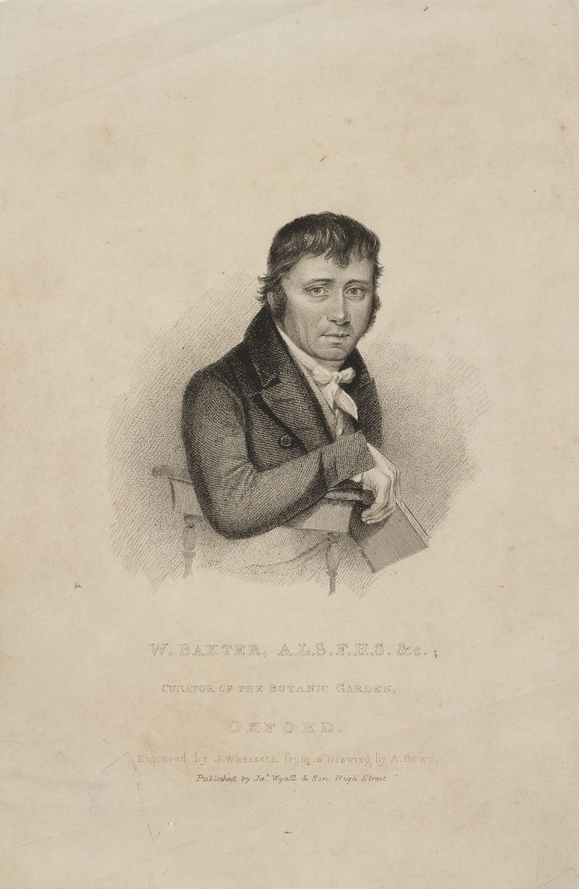 विलियम बैक्सटर, एएलएस एफएचएस, ब्रिटिश वनस्पतिशास्त्री, सी 1820s द्वारा फ्रेडरिक (एटीआर) बरनार्ड