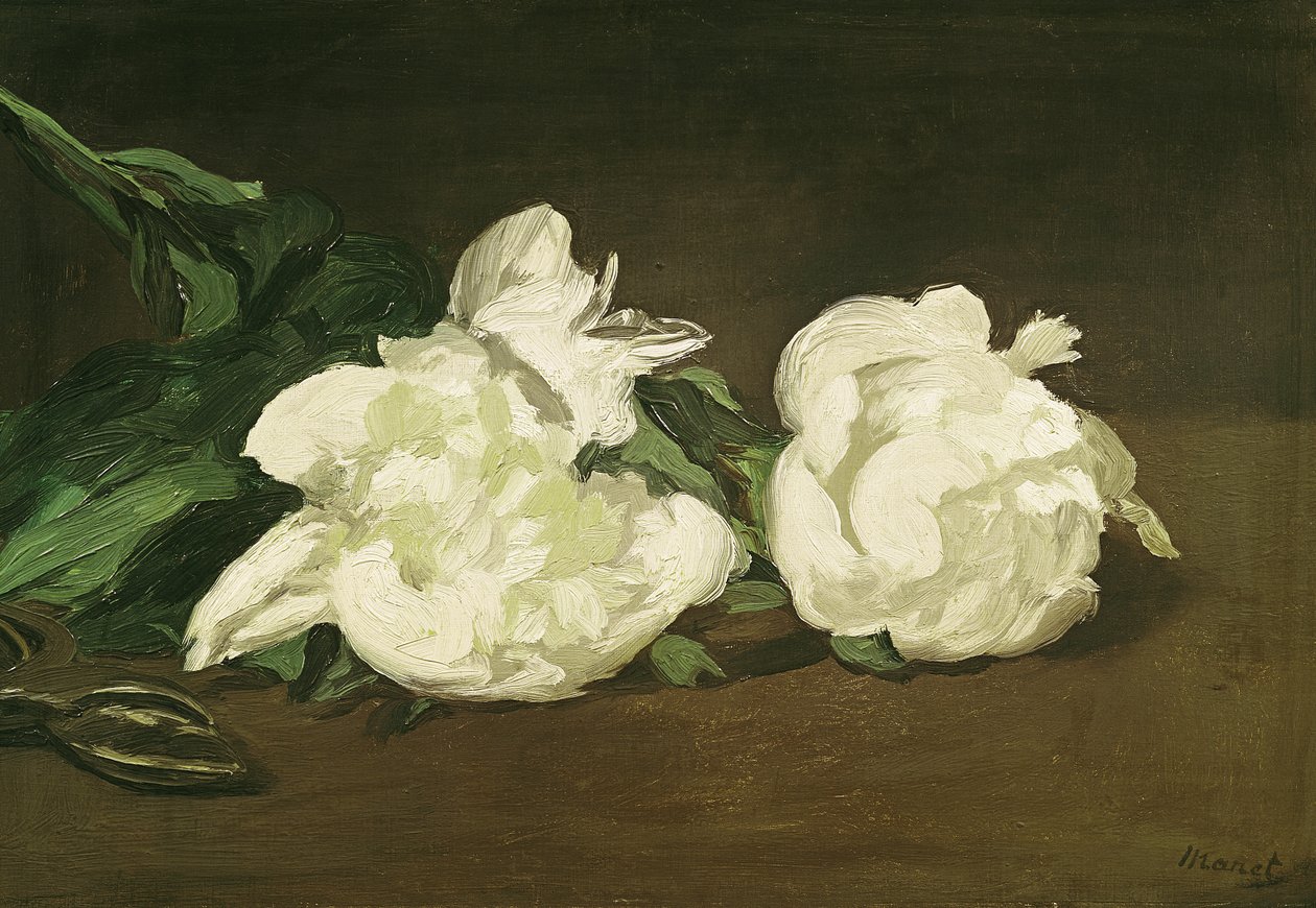 सफेद Peonies और Secateurs की शाखा, 1864 द्वारा एडोर्ड मैनेट