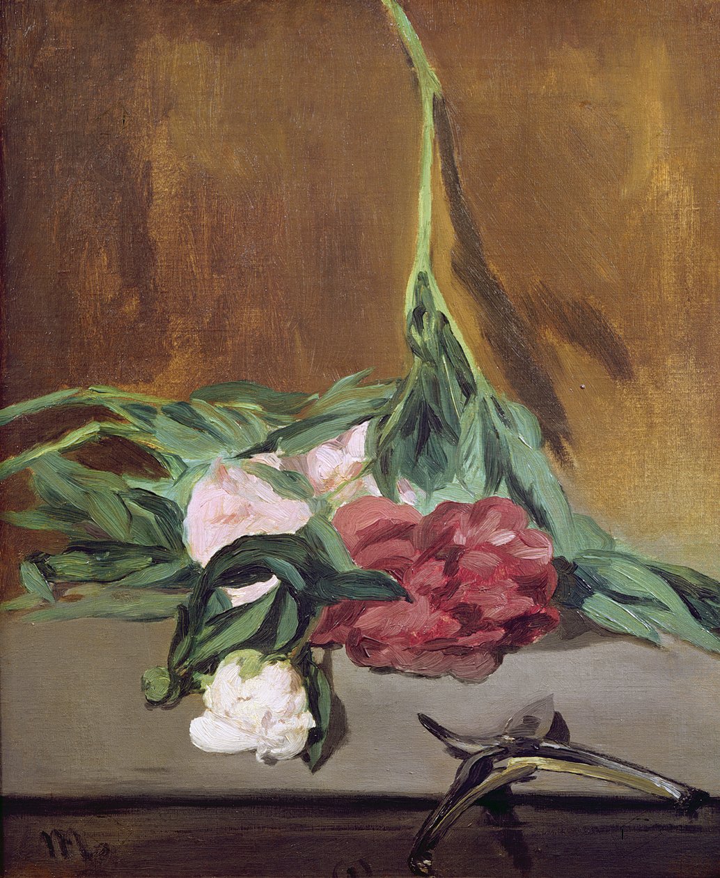 Peonies और Secateurs के स्टेम, c.1864 द्वारा एडोर्ड मैनेट
