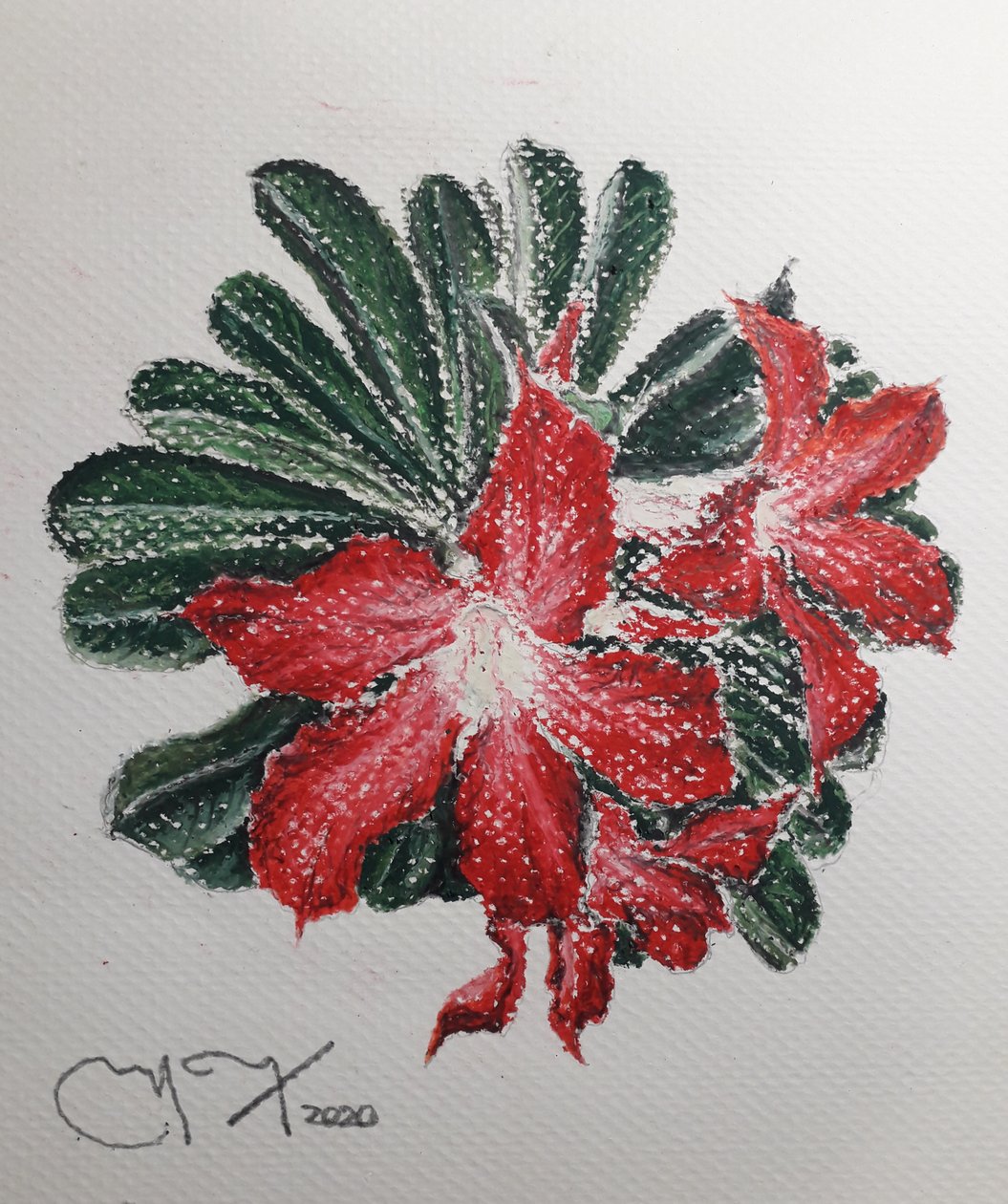 रेगिस्तान का फूल द्वारा miguelmendez_art.ve
