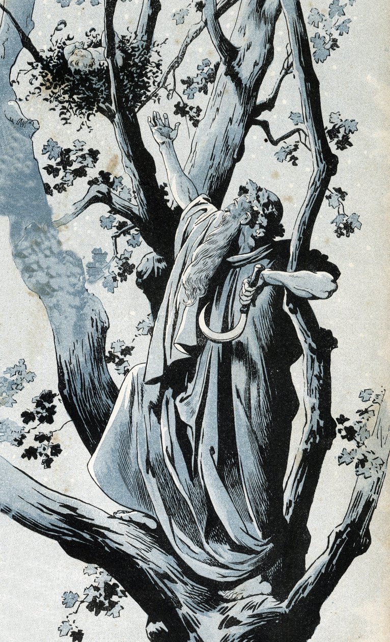 एक गैलिक ड्र्यूड, अपने सर्प के साथ मिस्टलेटो लेने के लिए एक ओक में चढ़ता है, वहां एक छोटी लड़की का पता चलता है। "" फ्रांस में, उनकी कहानी जी. मोंटोरग्यूइल द्वारा बताई गई, अय्यूब द्वारा चित्रित"" 1896. निजी संग्रह। द्वारा Onfray de Breville जाक जॉब के लिए छद्म नाम