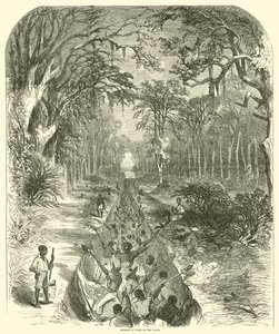 नहर पर काम पर नीग्रो, मार्च 1863 (उत्कीर्णन)