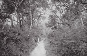  द्वारा (बाद में) अंग्रेजी फोटोग्राफर