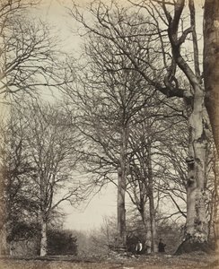 क्वीन एडिलेड बीच, 1864 से पहले। द्वारा कैथनेस जेम्स सिंक्लेयर के 14वें अर्ल