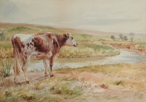 नदी और गाय के साथ परिदृश्य द्वारा एक भूरा