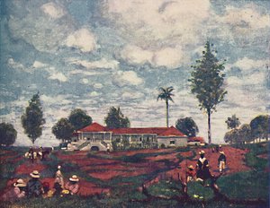 एक कॉफी फार्म, 1916 द्वारा एएस फॉरेस्ट