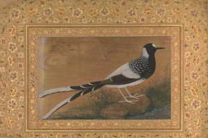 चित्तीदार फोर्कटेल, शाहजहाँ एल्बम से फोलियो, रेक्टो: सीए। 1610-15, वर्सो सीए। 1540. द्वारा अबू अल हसन