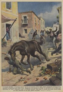 Cavallo idrofobo