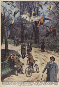 लंदन के पास के जंगलों में और विशेष रूप से ईपिंग में चलना, क्या यह शांतिपूर्ण होता है द्वारा अचिल बेल्ट्रैम