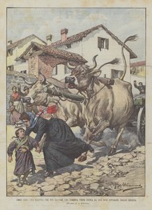 विनम्र नायकों, एक शिक्षक जो एक छोटी लड़की को बचाने के लिए दो गुस्से में बैलों से मार दिया जाता है, ब्रेशिया में