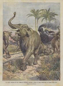 असम रेलवे लाइन (भारत-चीन) के किनारे जंगली हाथियों के एक टोर्मा द्वारा हमला