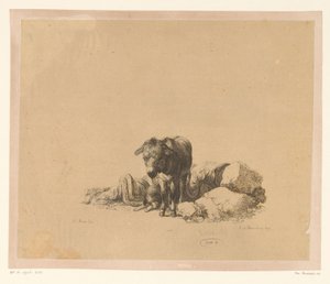  द्वारा जोहान Melchior Roos