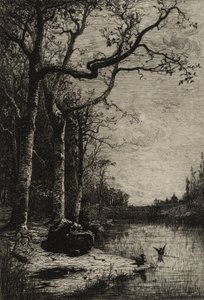 बरबंच मार्श (बड़ी प्लेट), c.1870 (नक़्क़ाशी) द्वारा एडोल्फ अप्पियन