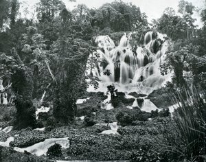 रोइंग रिवर फॉल्स, जमैका, c1905। द्वारा एडोल्फ डुपरली और सोन