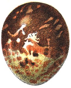 एग ऑफ ए हनी बज़र्ड (पर्निस एपीवोरस), 1923 द्वारा एडोल्फ फिलिप मिलोट