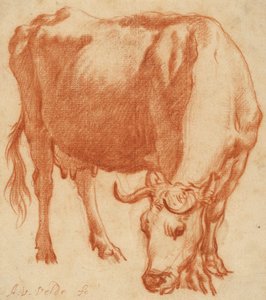 एक गाय चराई, c.1663 (लाल चाक ड्राइंग)