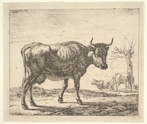 तीन गाय, अलग-अलग जानवरों से। द्वारा एड्रिएन वैन डे वेलडे