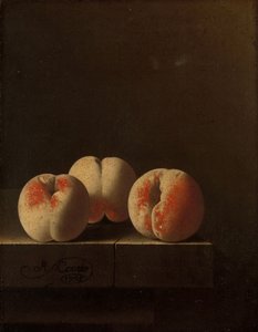 स्टोन पीथ पर तीन आड़ू, 1705 द्वारा एड्रियन कोर्टे