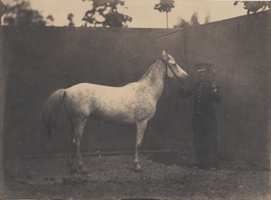पास्कलाइन, सीए। 1855-60।