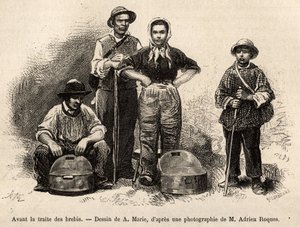 भेड़ के व्यापार से पहले, खेत के सभी कर्मचारी इस स्थान पर कार्यरत थे, लड़का, नौकर, चरवाहे की देखरेख में, दूध को सेल्स (धातु फूलदान एटेम) में एकत्र किया गया था, ए.मैरी द्वारा एक चित्र के बाद उत्कीर्णन, चित्रण Roquefo . के लिए एक यात्रा द्वारा एड्रिएन इमैनुएल मैरी