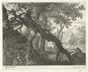  द्वारा Roelant Savery