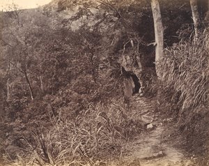यूएन फू मठ तक लेफ्ट रोड, सीए। 1869.