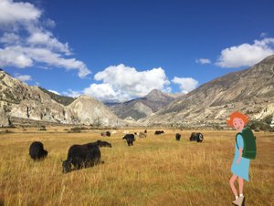  द्वारा एग्नेस गिरार्डन