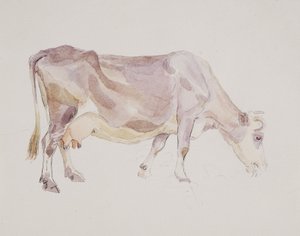 खड़ी गाय
