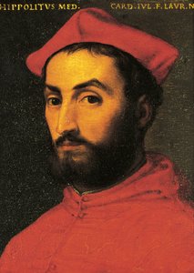 इप्पोलिटो डे मेडिसी का पोर्ट्रेट (Urbino .) द्वारा एग्नोलो ब्रोंज़िनो