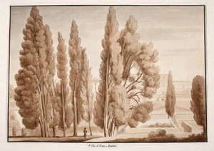 विला डीएस्ट, 1833 (ब्राउन वॉश के साथ नक़्क़ाशी) द्वारा एगोस्टिनो टोफ़ानेलि
