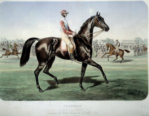 रेसिंग: "" सुजरेन, 1868 में चैंटिली डर्बी के विजेता"" अल्बर्ट एडम द्वारा लिथोग्राफी (1833-?) निजी संग्रह