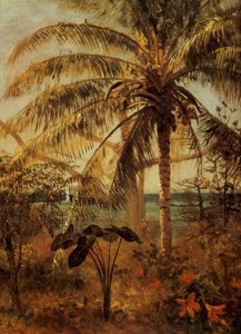 पाम ट्री, नासाउ, 1892 द्वारा अल्बर्ट बिएरस्टाड