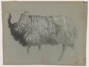 एक ईवे का अध्ययन, c.1855 (ग्रे-ग्रीन पेपर पर ग्रेफाइट, क्रेयॉन और चाक) द्वारा अल्बर्ट बिएरस्टाड