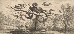 मोनेदुला, चौएट द आउल: लिवर डी'ऑयसेक्स बुक ऑफ बर्ड्स, 1655-1660। द्वारा अल्बर्ट फ्लेमिश