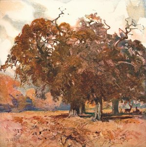 लैंडस्केप, c1904