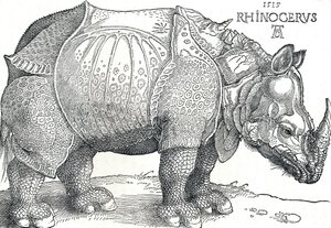 एक गैंडा, 1515, 1906 द्वारा अल्ब्रेक्ट ड्यूरर
