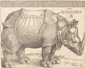 गैंडा, 1515। द्वारा Albrecht Dürer