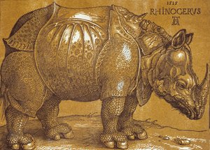 गैंडा, 1515। द्वारा अल्ब्रेक्ट ड्यूरर