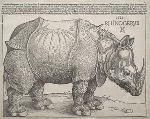 गैंडा, 1515। द्वारा Albrecht Dürer