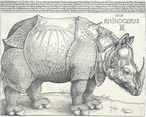 गैंडा, 1515., 1515। द्वारा अल्ब्रेक्ट ड्यूरर