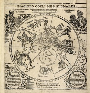  द्वारा अल्ब्रेक्ट ड्यूरर या ड्यूरर